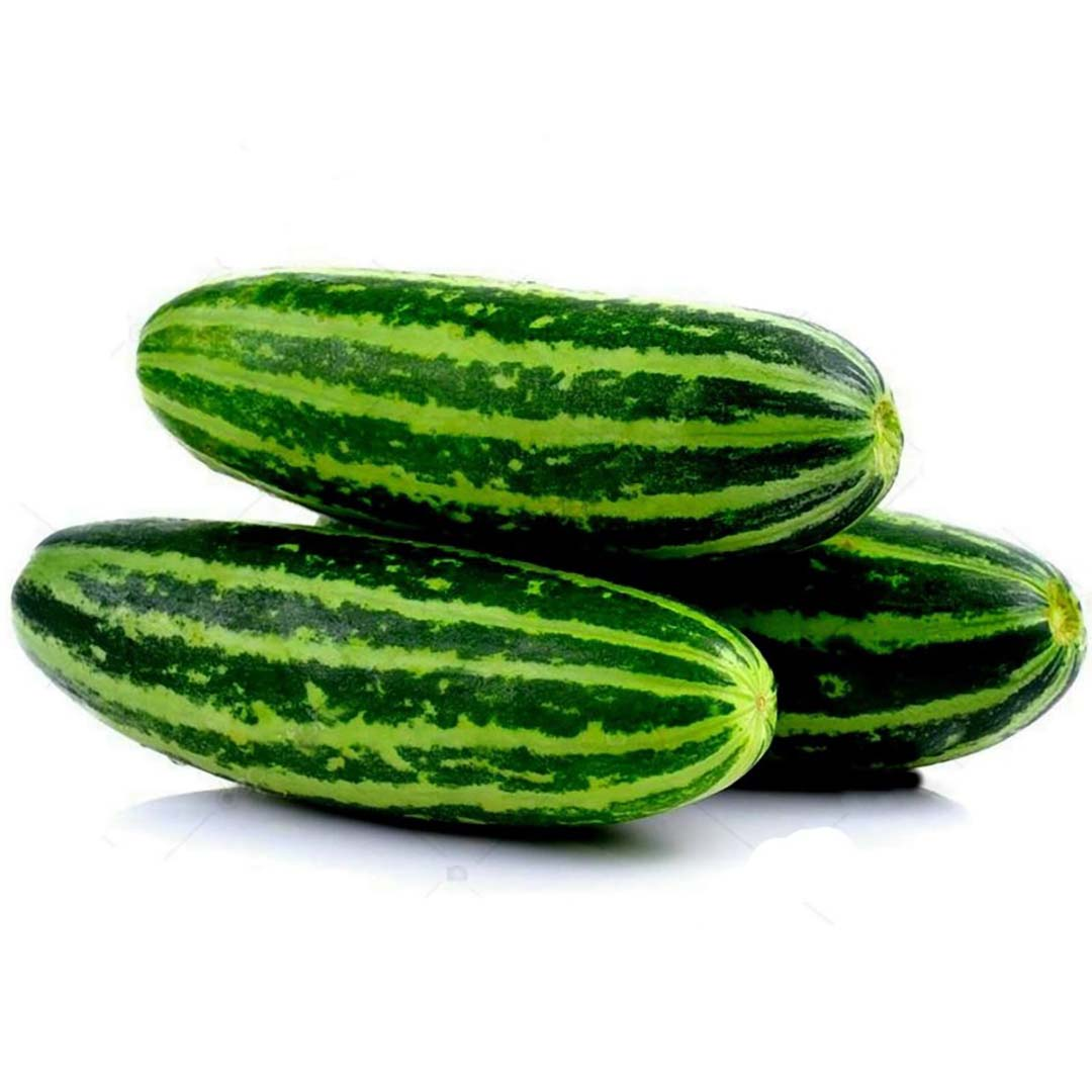 Curry Vellari Supplier and Wholesaler – UAE